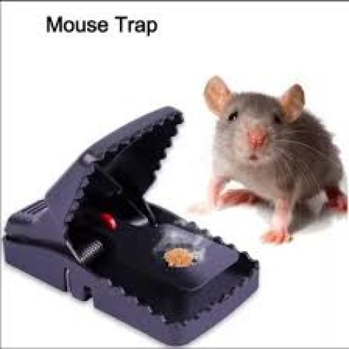 Mouse trap clip | Products | B Bazar | A Big Online Market Place and Reseller Platform in Bangladesh