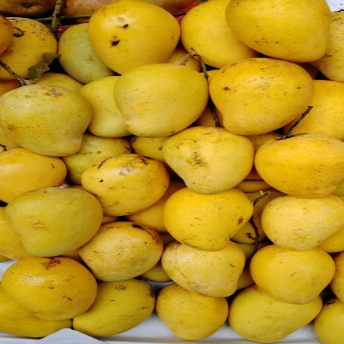 Thai Mango 1Kg | Products | B Bazar | A Big Online Market Place and Reseller Platform in Bangladesh