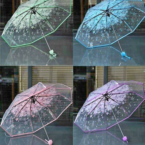 Transparent Umbrella | Products | B Bazar | A Big Online Market Place and Reseller Platform in Bangladesh